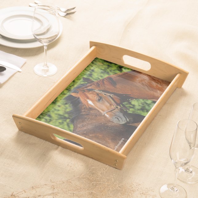 Two Beautiful Chestnut Horses in the Sun Serving Tray (Front)