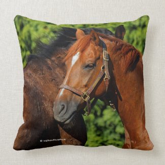 Two Beautiful Chestnut Horses in the Sun