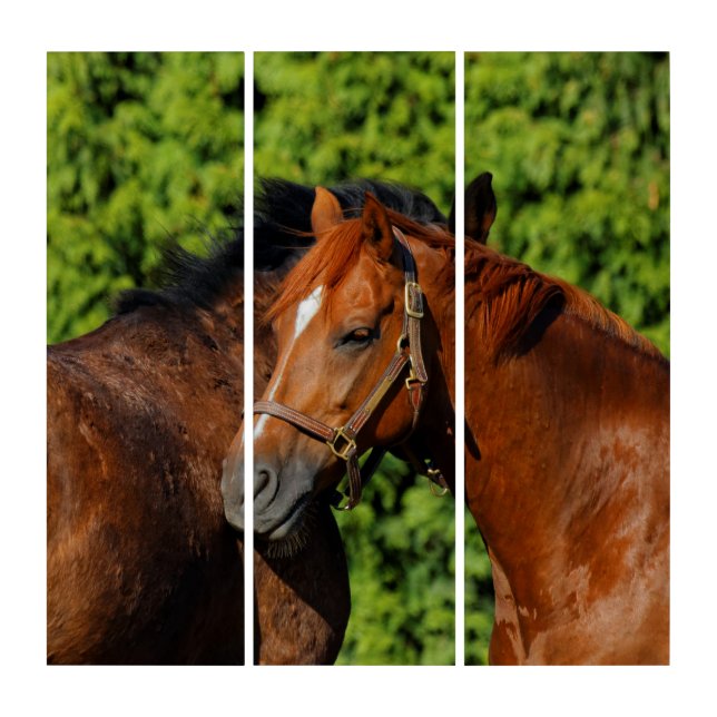 Two Beautiful Chestnut Horses in the Sun Triptych (Front)