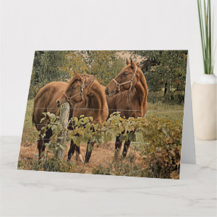 Two Beautiful Horses - Happy Birthday Card