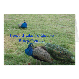 TWO BEAUTIFUL PEACOCK'S CARDS