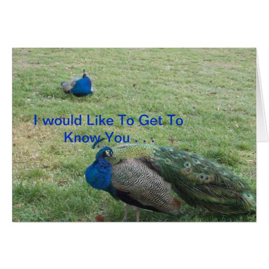 TWO BEAUTIFUL PEACOCK'S CARDS (Front Horizontal)