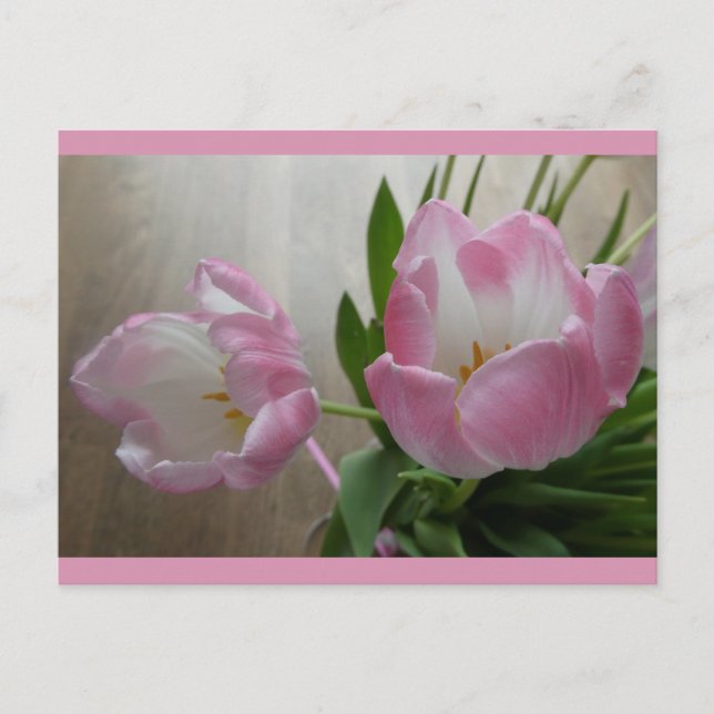 Two Beautiful Pink Tulips DIY Postcard (Front)
