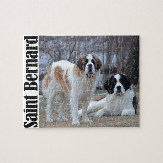 Two Beautiful Saint Bernard's Jigsaw Puzzle (Horizontal)