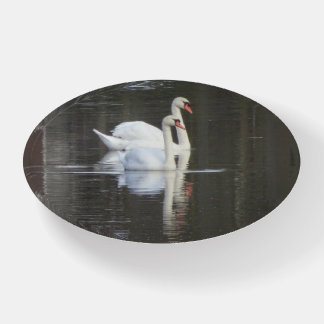 Two beautiful Swans Paperweight