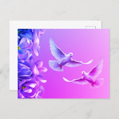 Two Beautiful White Doves Postcard