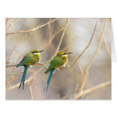 Two Bee-eaters (Front Horizontal)