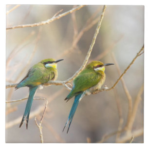 Two Bee-eaters Ceramic Tile
