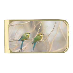 Two Bee-eaters Gold Finish Money Clip