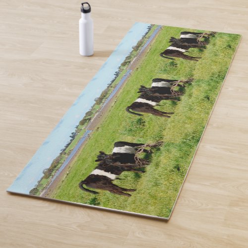 Two Belted Galloway Calves In The Country Yoga Mat