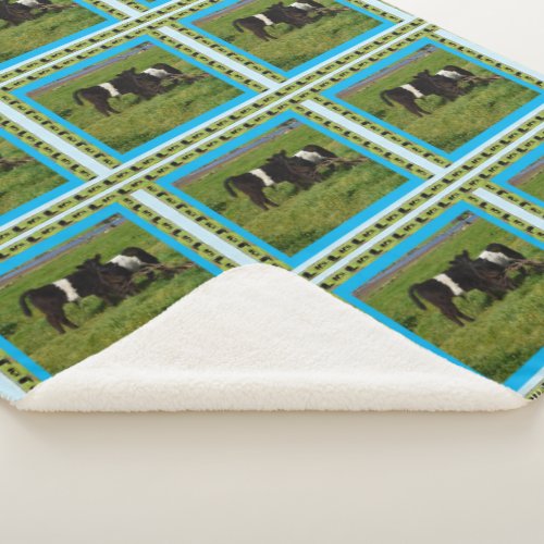 Two Belted Galloway Calves Sherpa Blanket