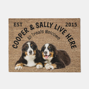 Two Bernese Mountain Dogs Personalized Dog Lover   Doormat