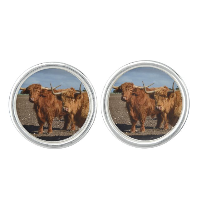 Two Big Brown Highland Cows, Cufflinks (Front)