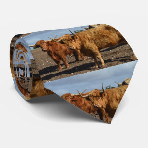 Two Big Brown Highland Cows Photography, Neck Tie