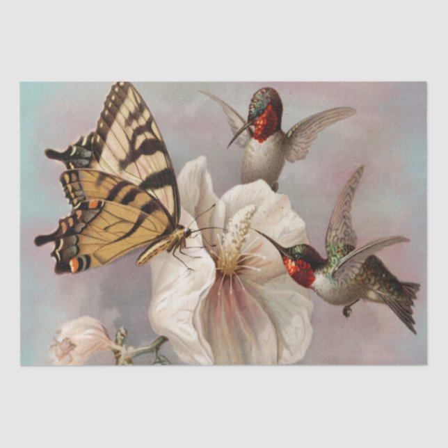 Two birds & Butterfly Shabby Chic Decoupage Tissue Paper (Front)