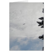 Two Birds Flying High (Front)