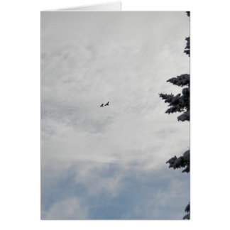 Two Birds Flying High