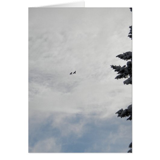 Two Birds Flying High Cards (Front)