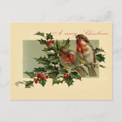 Two birds on a Holly branch Holiday Postcard