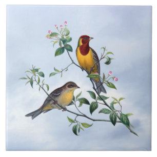 Two birds on flowering tree branch ceramic tile