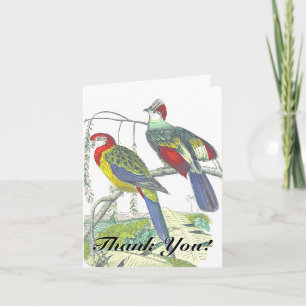 Two Birds Perched on a Branch "Thank You!" Card
