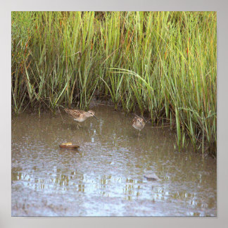 Two Birds Photo Poster