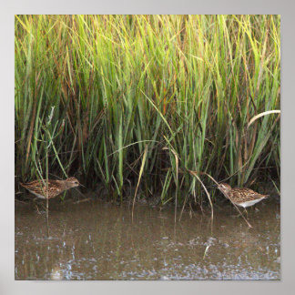 Two Birds Photo Poster