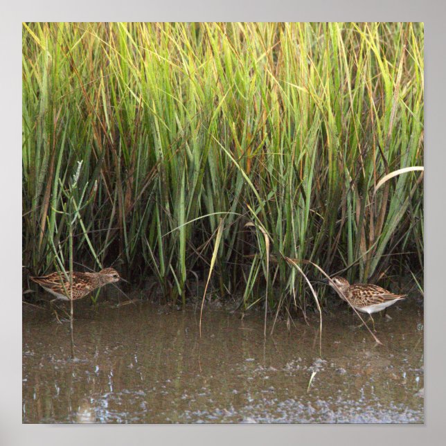 Two Birds Photo Poster (Front)