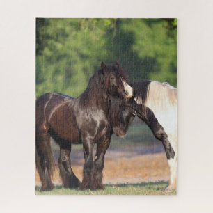 Two Black and White Gypsy Vanners Meeting Jigsaw Puzzle