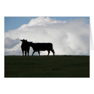 Two Black Cows