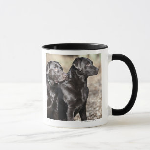 Two Black Labrador retrievers Mug