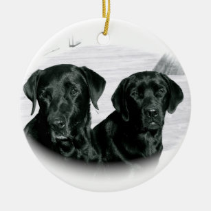 Two Black Labs Ornament