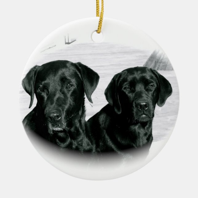 Two Black Labs Ornament (Front)