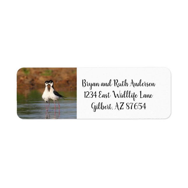 Two Black-Necked Stilts Label (Front)