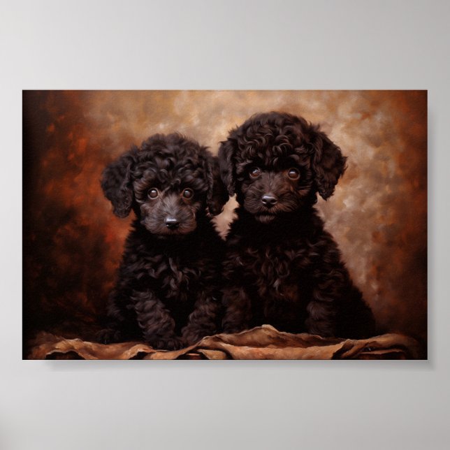 Two Black Poodle puppies Poster (Front)