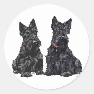 Scottish Terriers Terrier Dog Breed Scotty Car Bumper Vinyl Sticker Decal 4.6"