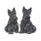 Two Black Scottish Terriers