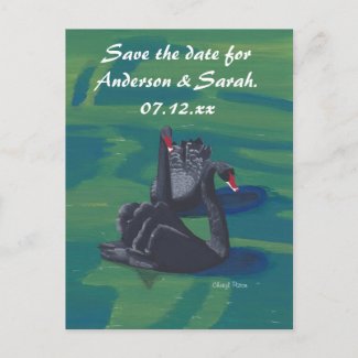 Two Black Swans Swimming Save the Date Postcards