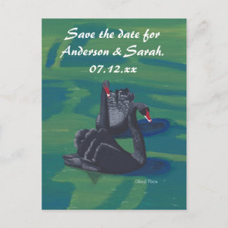 Two Black Swans Swimming Save the Date Postcards