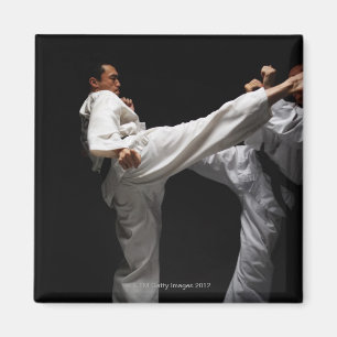 Two Blackbelts Sparring Magnet
