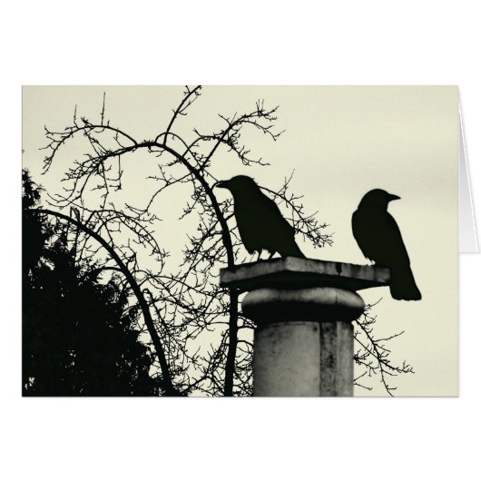Two Blackbirds 5x7 Card (Front Horizontal)