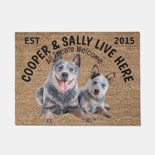 Two Blue Heelers Personalized Dog Lover   Doormat (Front)