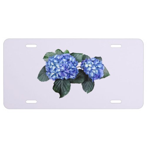 Two Blue Hydrangea License Plate