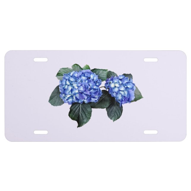 Two Blue Hydrangea License Plate (Front)