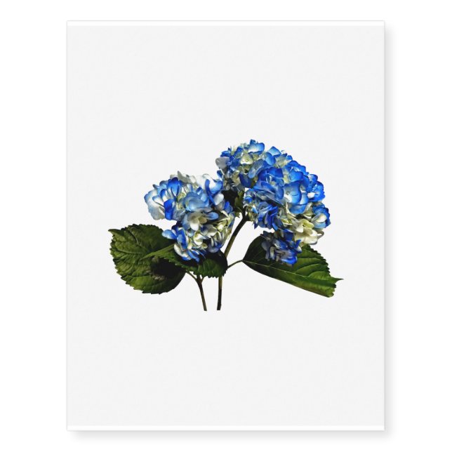 Two Blue Hydrangea With Leaves Temporary Tattoos (Front)