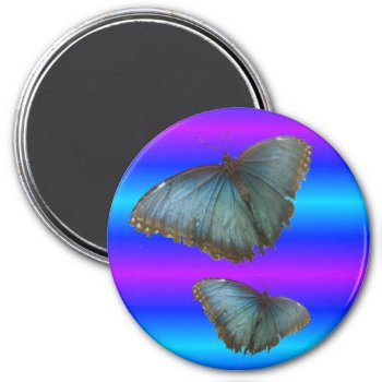 Two Blue Morpho Butterflies Blue Neon Magnet by Edelhertdesigntravel at Zazzle