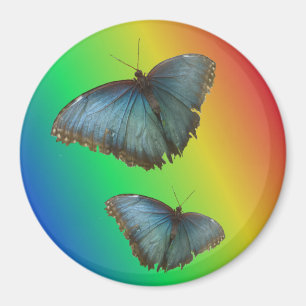 Two Blue Morpho Butterflies Rainbow Magnet