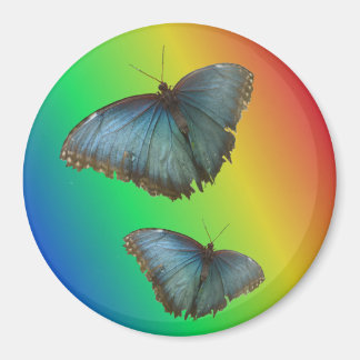 Two Blue Morpho Butterflies Rainbow Magnet