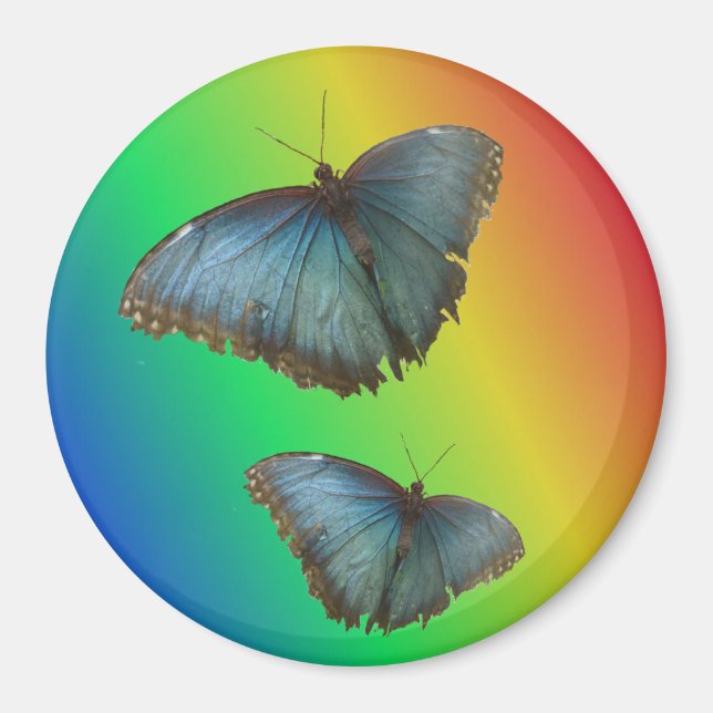 Two Blue Morpho Butterflies Rainbow Magnet (Front)