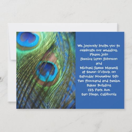 Two Blue Peacock Feathers Wedding Invitation